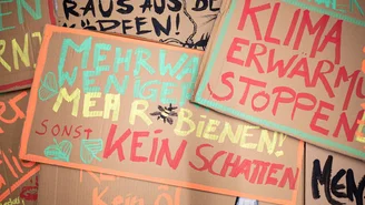 Cardboard signs on which various slogans are written in large letters in colourful paint, e.g. Stop climate change, more bees.